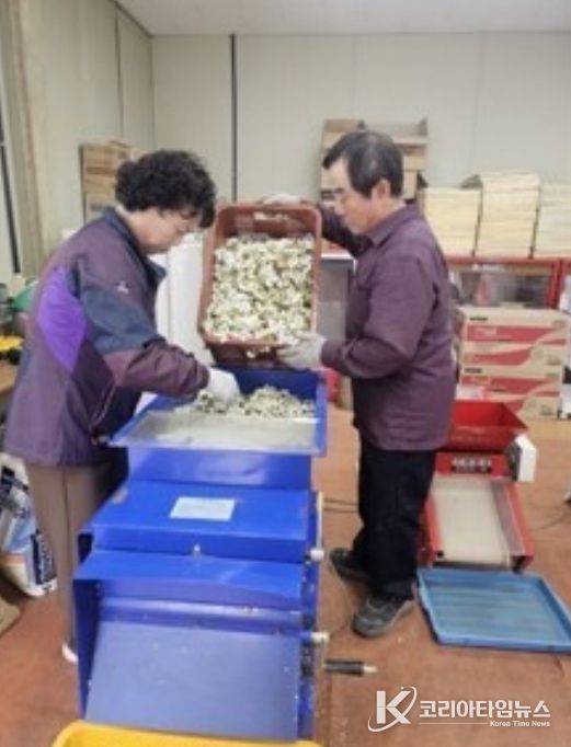 꽃가루 채취 사진