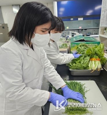 봄철 농산물 안전성‘양호’, 보건환경연구원 검사 결과 99.1% 적합
