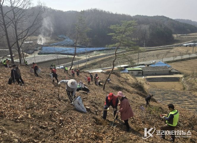 봉화군, 제81회 식목일 나무심기행사 개최
