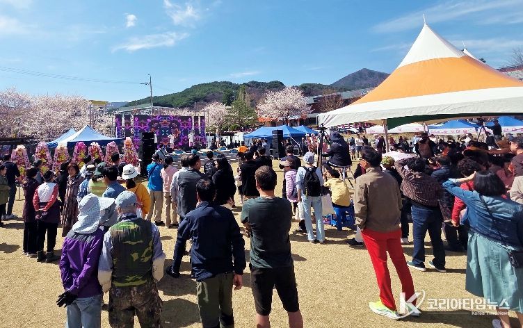 제24회 함양 백운산벚꽃축제 성료