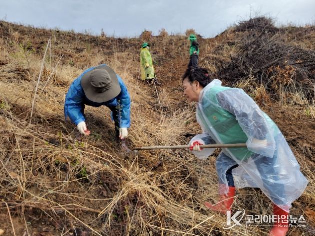 증평군새마을회, 식목일 나무심기