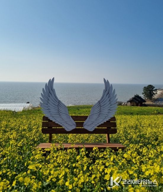 영광군, 새 포토존과 함께 유채꽃 만발한 봄 풍경 제공