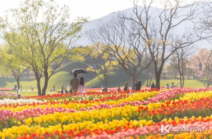 형형색색의 튤립이 물결치는 순천만국가정원 노을정원