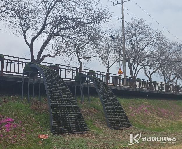 금산천 데크로 꽃폭포
