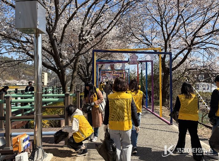 보은교육지원청, 벚꽃길에서 '너나들이'하며 청렴을 줍다
