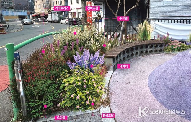 부산 중구, ‘정원속의 도시 부산’실현을 위한 생활 속 정원 조성 본격 추진