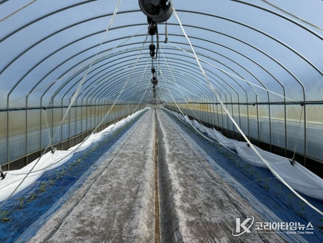 소형 자동화 개폐기 도입으로 수박 재배 노동력 90% 절감