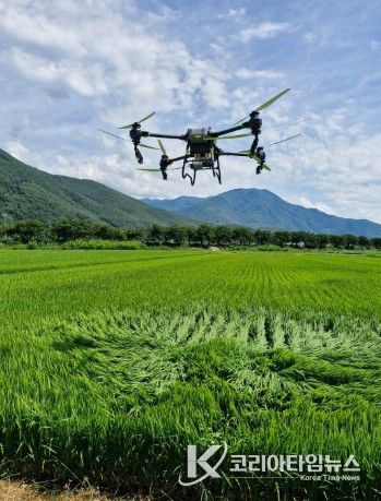 정선군, 379ha 규모 드론 방제 시범사업 추진