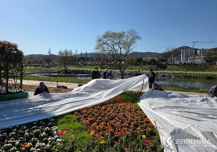 축제 대비 현장 관리 모습