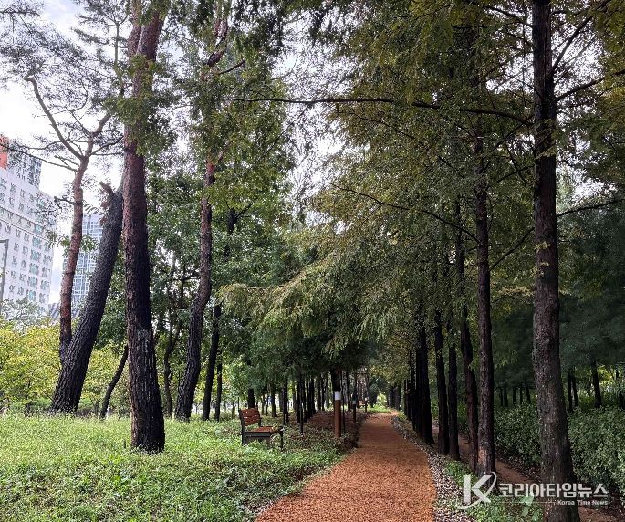 단절 녹지잇는 세종시 새롬동 둘레길, 마무리 단계