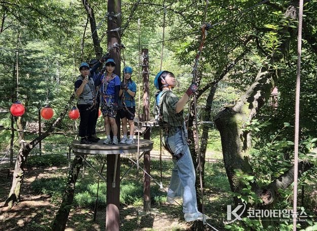 지난해 관악산 모험숲에 참여한 청소년이 공중 모험 코스를 체험하고 있다