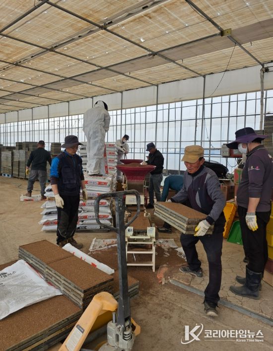 강릉시, 본격 벼 육묘작업 추진