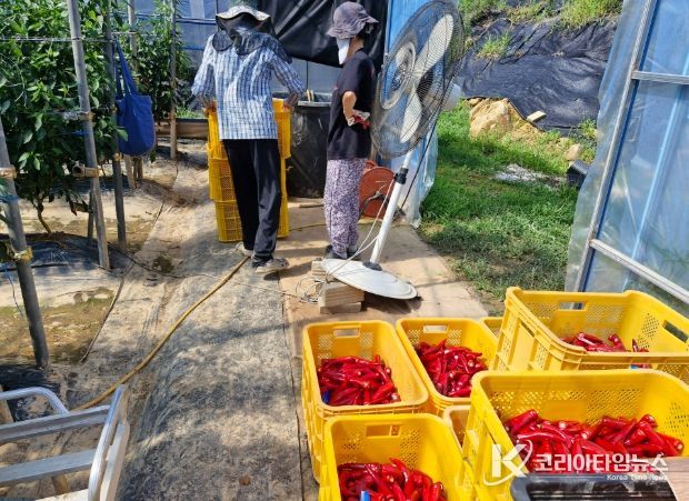 귀농, 살아보고 결정하세요! ‘거창군, 농촌에서 살아보기 참가자 모집’