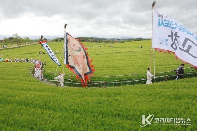 고창청보리밭축제